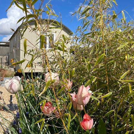 The Shepherd'S Hut Mixbury ภายนอก รูปภาพ